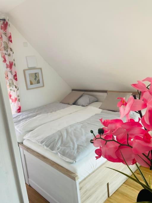 Apartment Scholle Steinbeck Recke Buitenkant foto